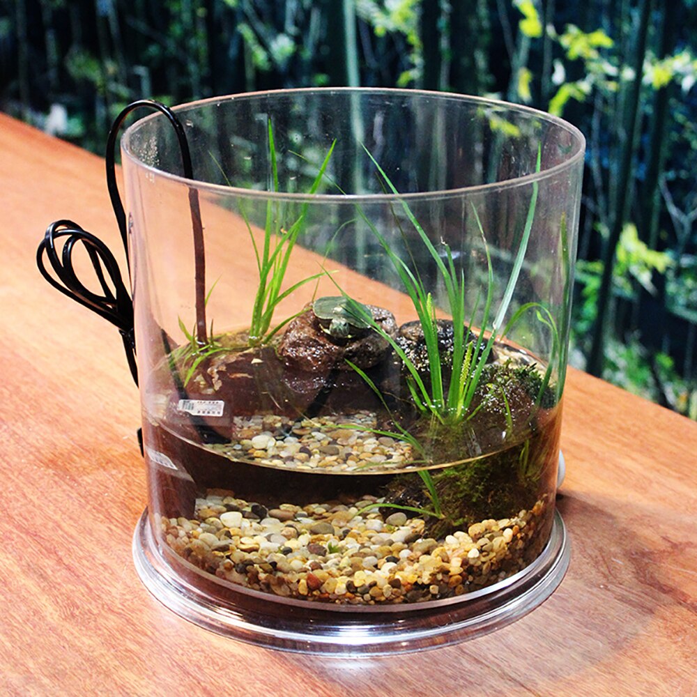 Desktop Small Fish Tank Goldfish Tank Turtle Tank Reptile Breeding Box Plastic Cylinder Ecological Landscaping Cylinder