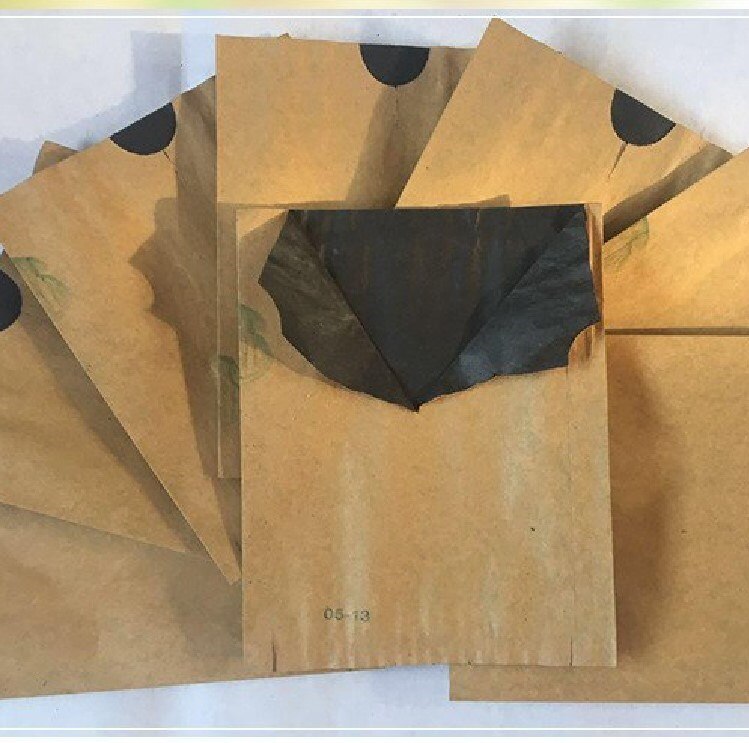 Bolsas de protección impermeables para fruta, bolsa de manzana, melocotón, manzana, naranja, Kiwi, prevención de insectos y aves, 100 Uds.
