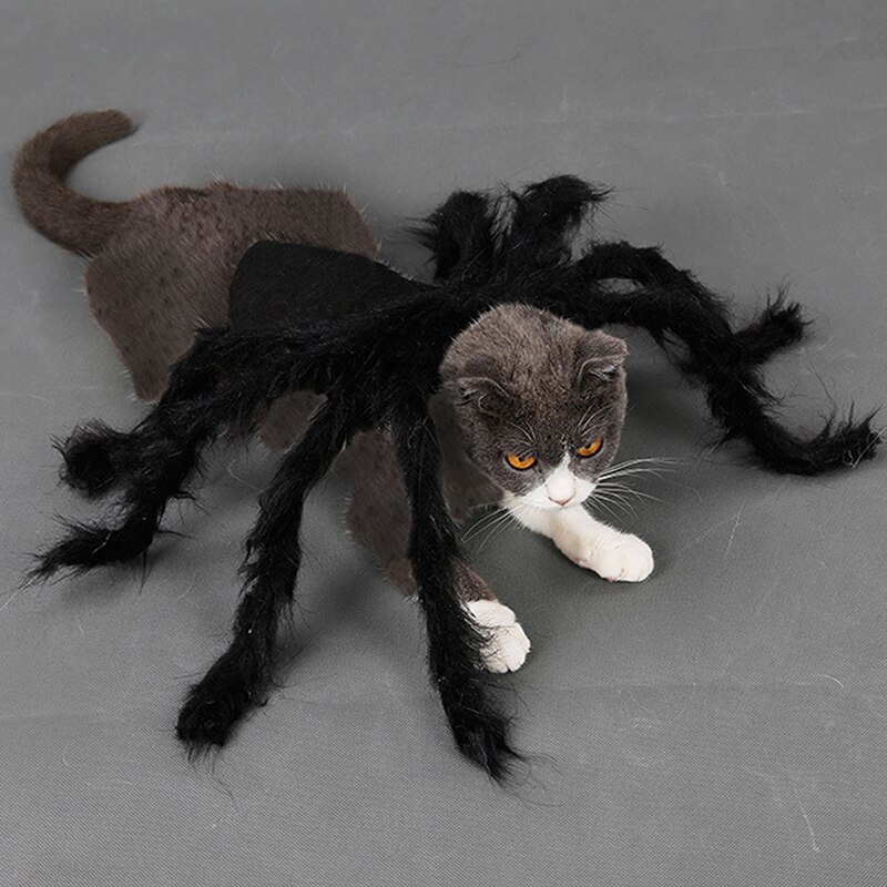 Costume d&#39;araignée pour chien et chat, vêtements pour animaux de compagnie, déguisement d&#39;halloween, fête de noël, accessoires pour animaux de compagnie, 2022