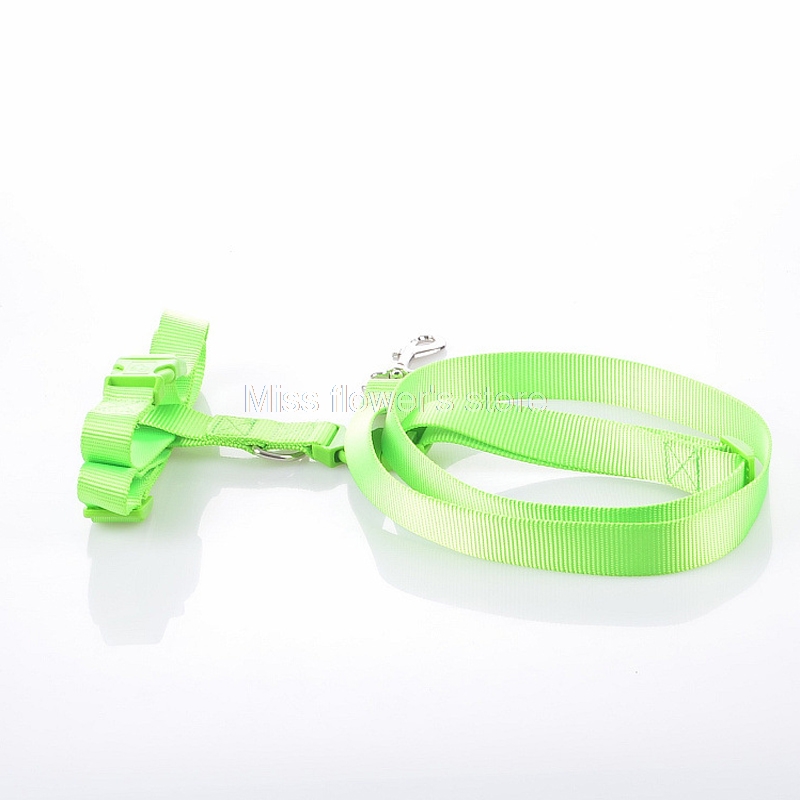 1 PCS Pet Hond Running Walking Jogging Verstelbare Handsfree Leash Taille Riem: Green