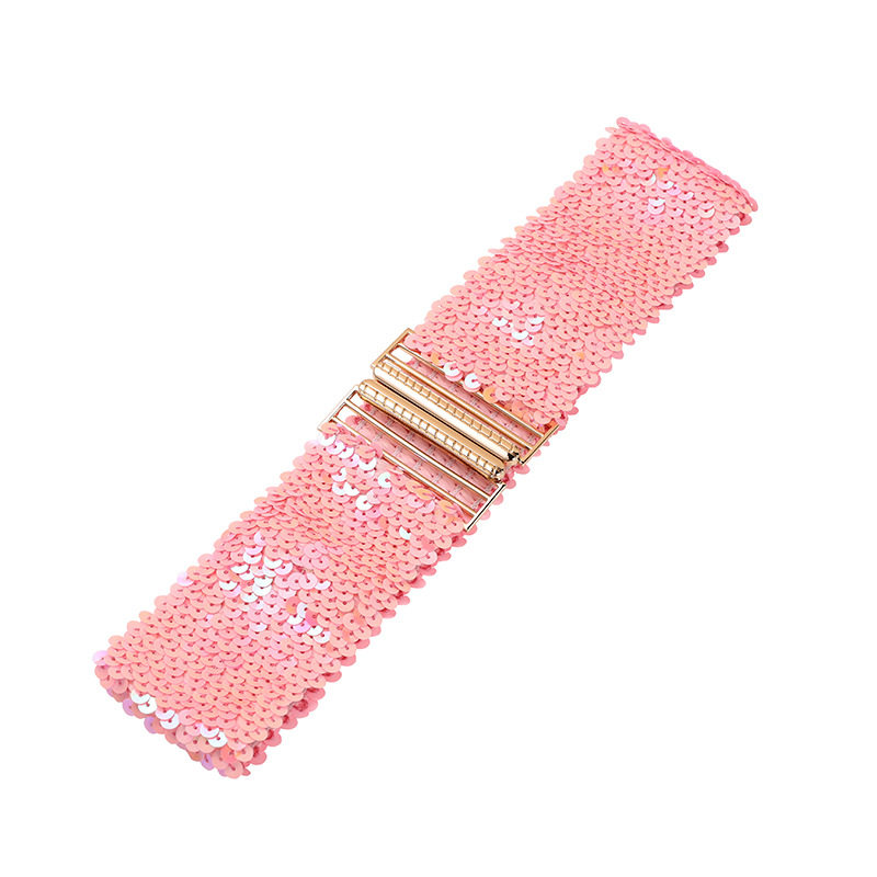 Cinto feminino de lantejoulas, elástico e brilhante, estilo corset, com fivela de metal, alça decorativa para corset, acessório para vestido de festa.: Cinza