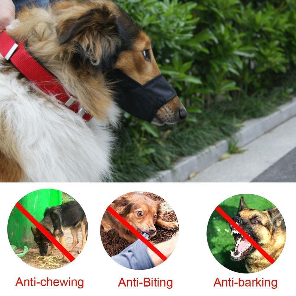 Bozal para mascotas, máscara de malla ajustable para perros, accesorios transpirables, productos de entrenamiento para morder y ladrar, Mou J1N1