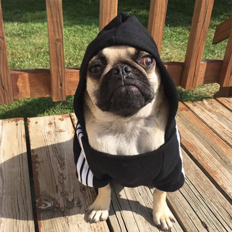 Warm Large Dog Clothes Winter hoodie big dog sweater pet coat Jacket Clothing for Golden Retriever Samoyed Labrador Husky Dogs