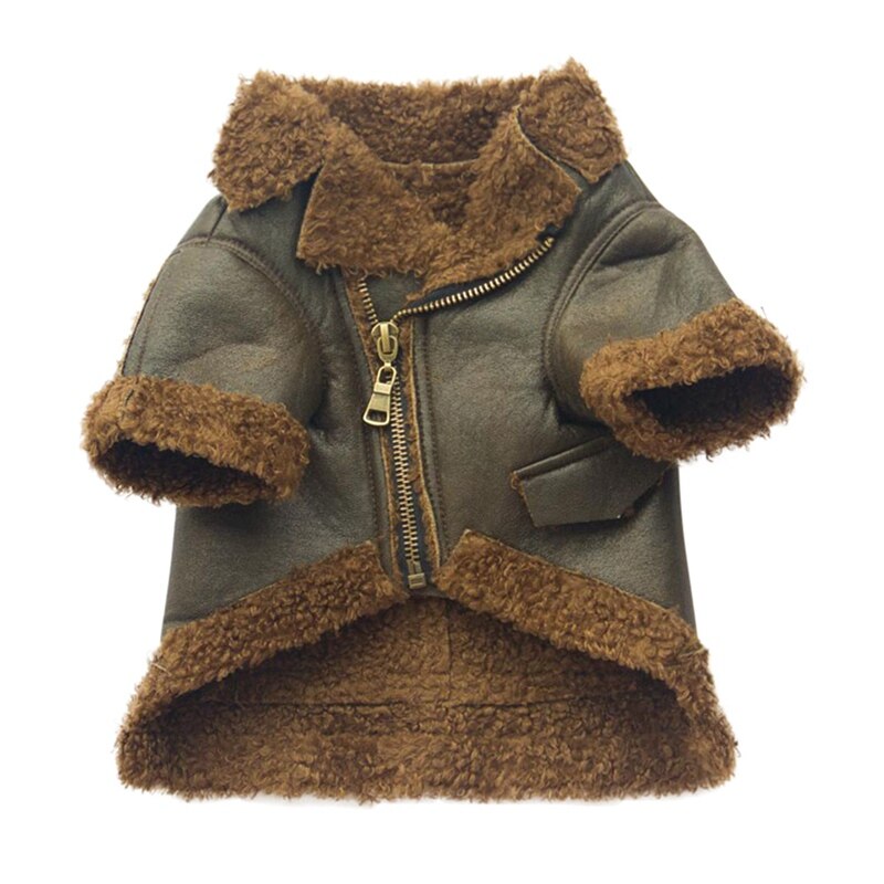 Vêtements pour animaux de compagnie en cuir | En cuir rétro, pour chiens, manteau, vêtements Cool comme un garçon Cool pour petits chiens, Teddy français: BR / M