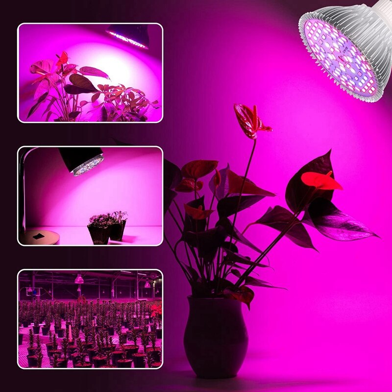 LED Grow Lights Bulb E27 50W Plant Grow Light Full Spectrum Or Indoor Plants Garden Growing Greenhouse Succulents