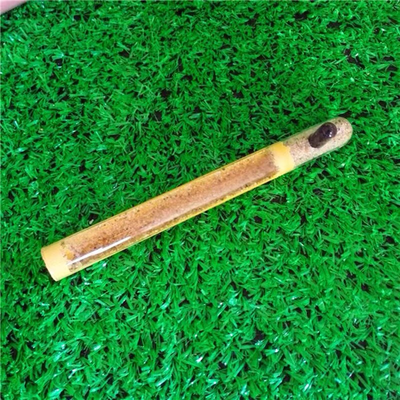 Enkele Reageerbuis Nest Acryl Ant Nest Slub Beton Ant Farm Achter Groep Teelt Gebruik Test Buizen Met Ondersteuning: T007 / Diameter 15mm