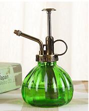 Antikk glass plante blomstervanning potte spray flaske hage frisør sprøyte(skum boks emballasje) hage tilbehør: Grønn