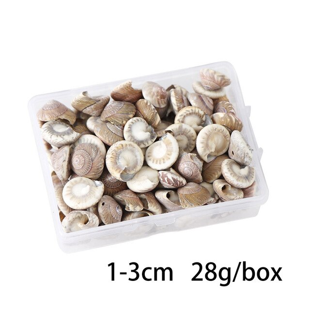 100 PCS Boxed Natural Conch Shells Mini Conch Corn Screw Wall Decoration DIY Aquarium Landscape Seashells Jewelry DIY Craft: Clear