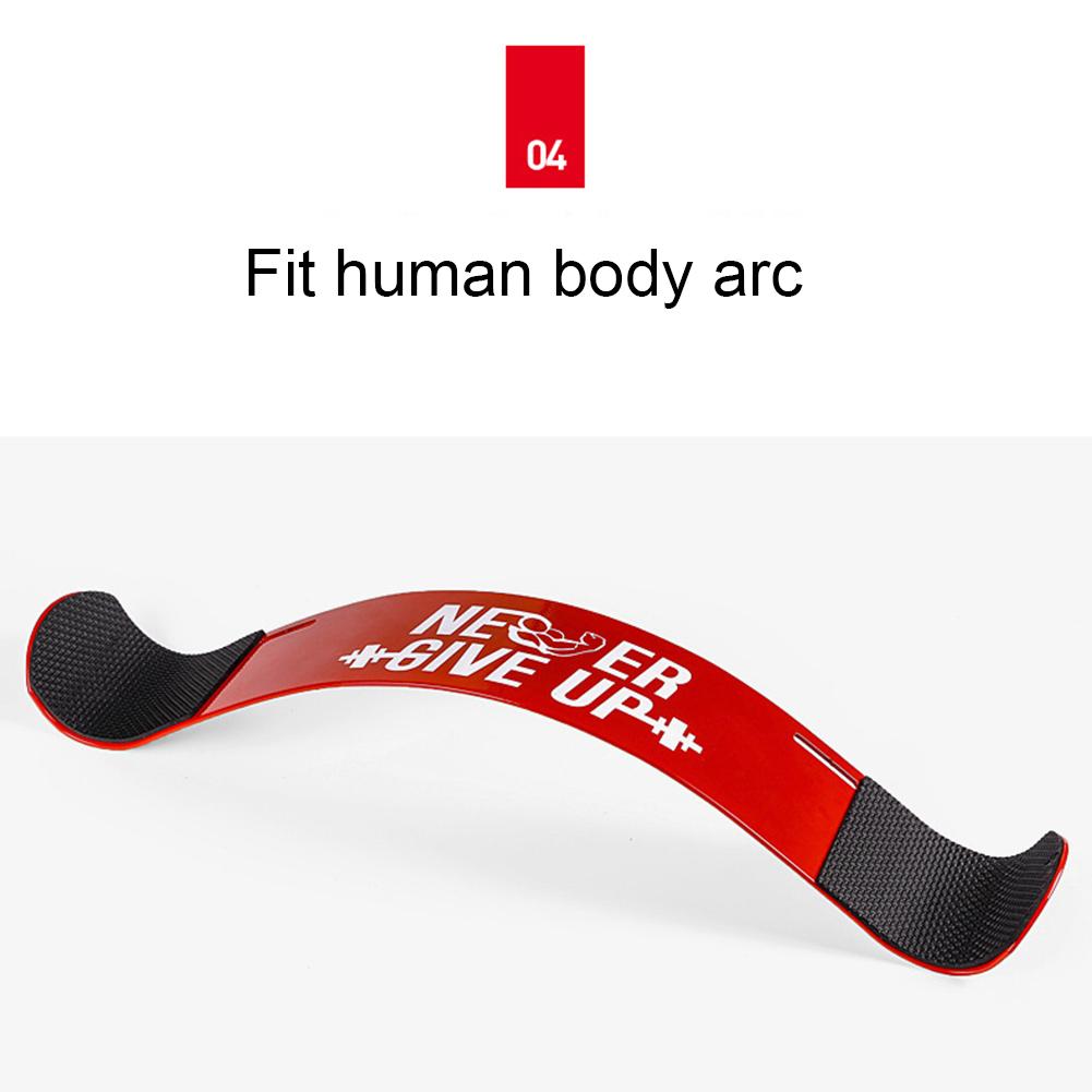 Adjustable Bodybuilding Biceps training board dumbbell barbell gym equipment Bomber Curl Support Straps Training Accessory