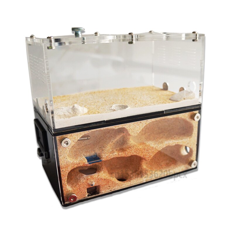 Ant house pet ant nest original ecological concrete nest ant nest ant Castle