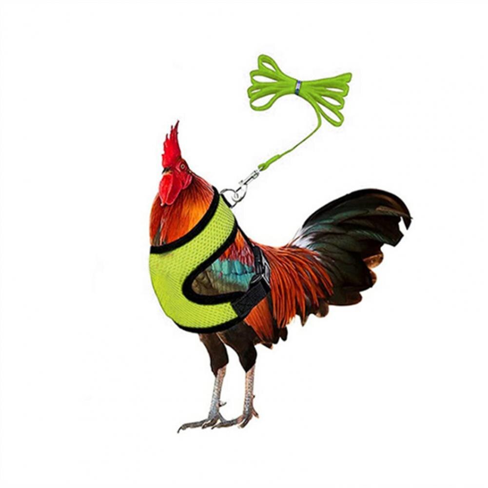 1 Set Chicken Harness Stylish Adjustable Mesh Chicken Duck Poultry Vest Poultry Supplies Duck Leash Chicken Vest: YELLOW / M