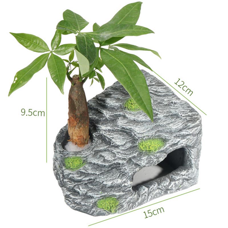 Turtle climbing platform Plastic Turtle Pier Dock Basking Platform Shelf Decoration Crawler Roof Terrace Island Climb Aquarium: S and Fortune Tree