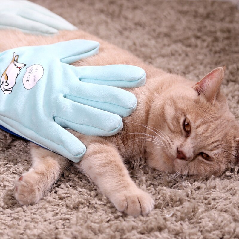 Peigne pour l'épilation des animaux de compagnie, gants de toilettage pour chiens, brosse de Massage, fournitures pour animaux de compagnie