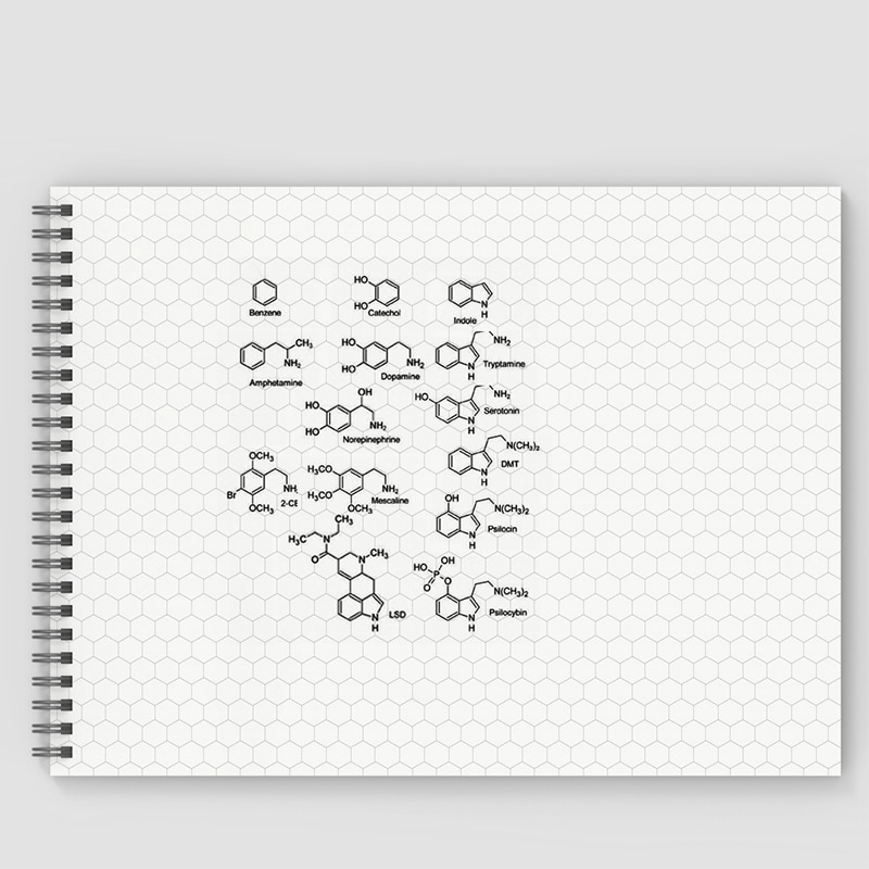 Hexagonal Graph Rule Paper Notebook for Organic and Bio Chemistry: Graph Notebooke Lab Book Graph and Lined Spiral Notebook