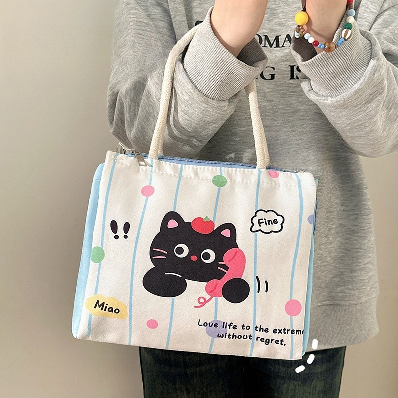 Cute Cartoon Lunch Box for Work and Students, Portable Aluminum Foil Insulated Lunch Box, Large Capacity Picnic Bag