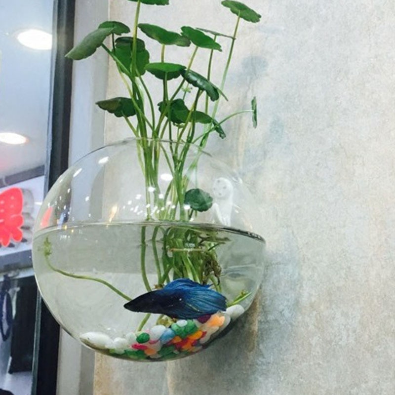 Europese glazen hydrocultuur wandbloemvaas, groene planten, wanddecoratie, aquarium, knutselen, scandinavische bloempot