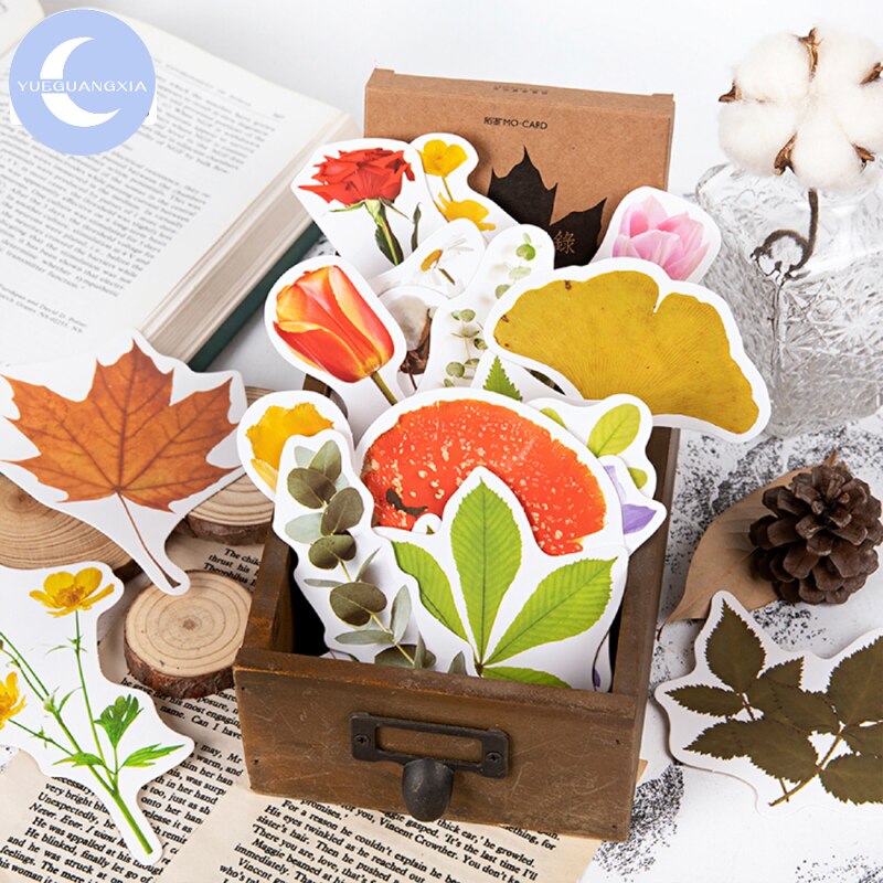 YueGuangXia Herbal Botany Series of Postcards Group Travel Invitation Greeting Ivory Card Wish Cards Office Stationery