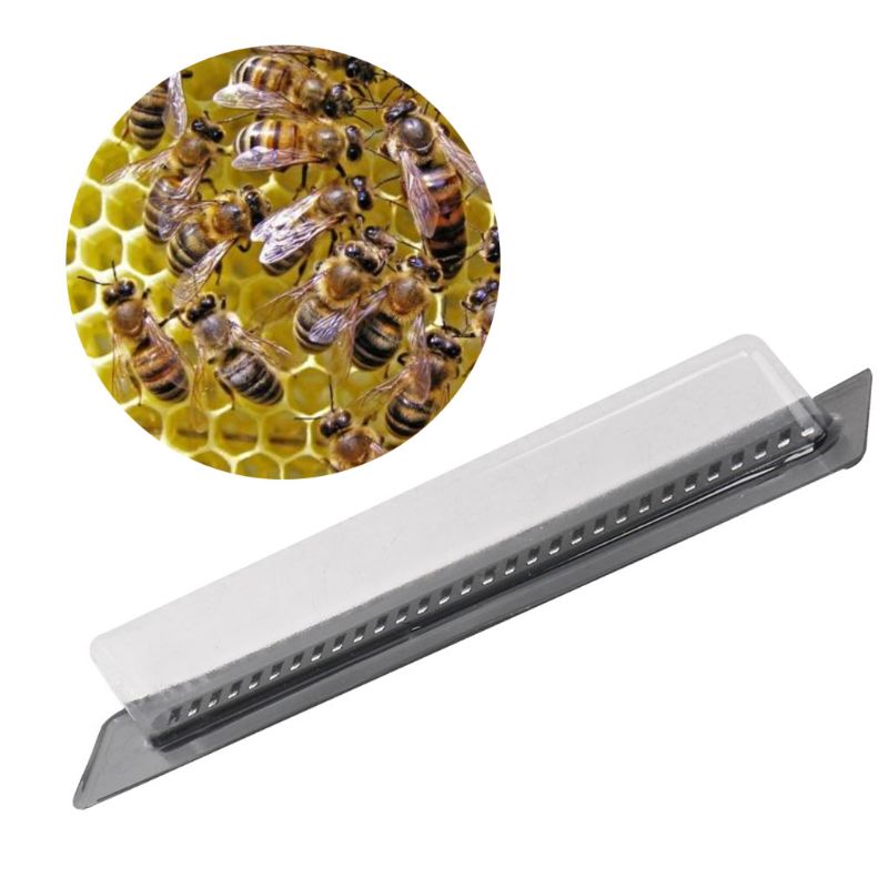 5x Black Small Bee Hive Beetle Blaster BeeHive Trap Beekeeping Equipment Tool LX9C