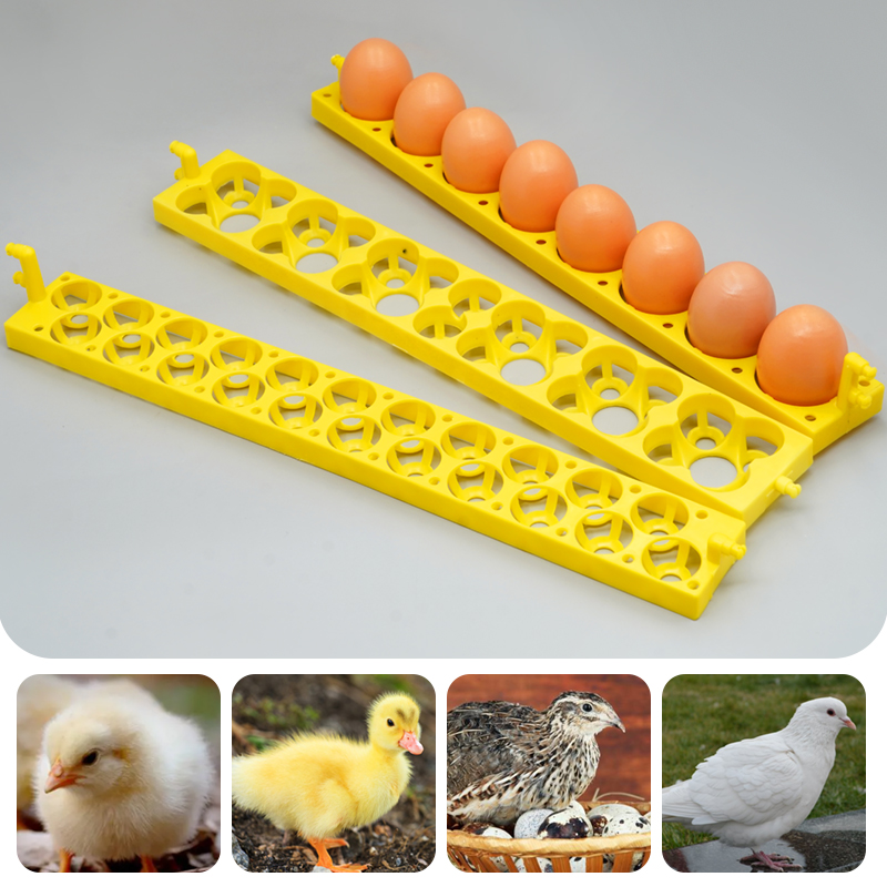 Automatische Ei Incubator Plastic Automatische Incubator Eierbak Kippenei Incubator Houder Voor Gevogelte Kip Eend Gereedschap Onderdelen