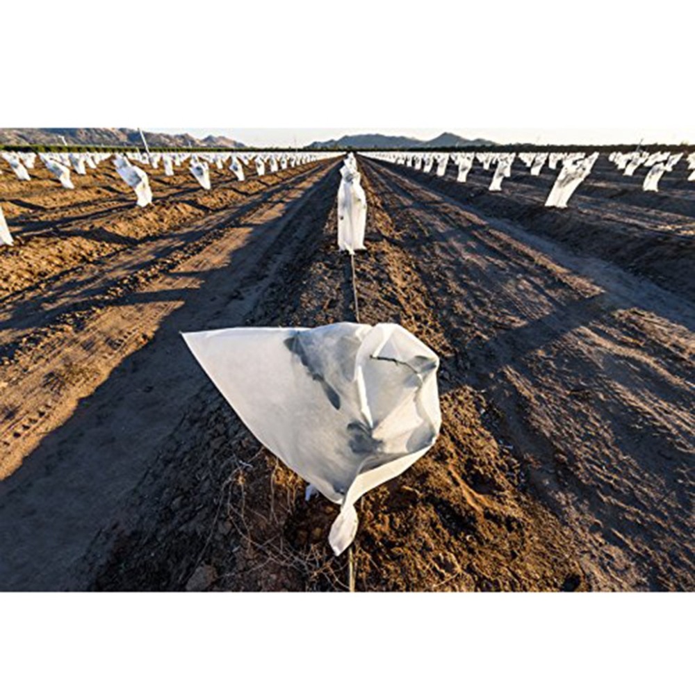 Plantedekke varmt dekke tre busk plantebeskyttelsespose frostsikring hage hageinnredning vinter 80 x 120 beskyttelse mot kulde