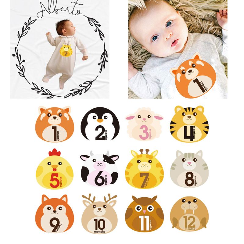 12 Pcs Animal First Year Monthly Milestone Photo Sharing Baby Belly Stickers 1-12 Months