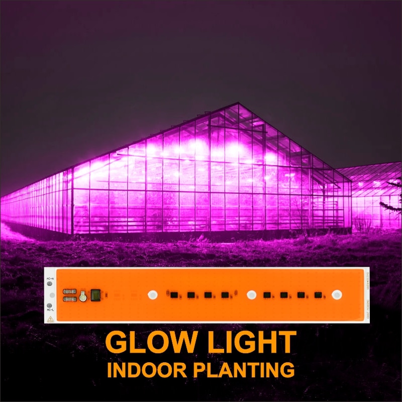 Led Cob Chip 30W 50W 80W AC220V Led Grow Plant Lichten Volledige Spectrum Fitolamp Voor Indoor Garden planten Hydrocultuur Groeien Tent Box