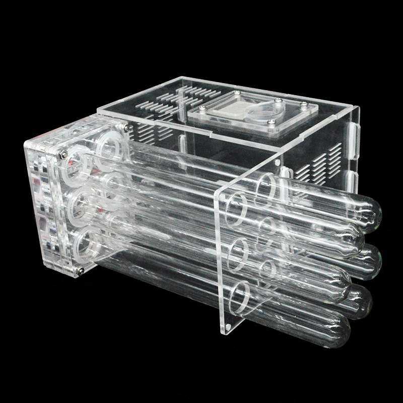 DIY Acrylic Ant Farm with Feeding Area 6 Plaster Tubes Ants House Ant Nest Insect Workshop Pet Anthill: Ordinary tube
