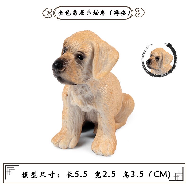 Miniaturen Beeldjes Hond Model Golden Retriever Schnauzer Shiba Inu Herder Action Figure Collectible Educatief Speelgoed: Golden Retriever D