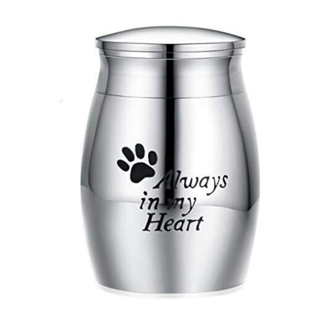 Pet Cremation Urns Lettering Engraving Stainless Steel Ash Memorial Container Dog Cat Resting Place Storage Holder Pet Urn ZA26: color3