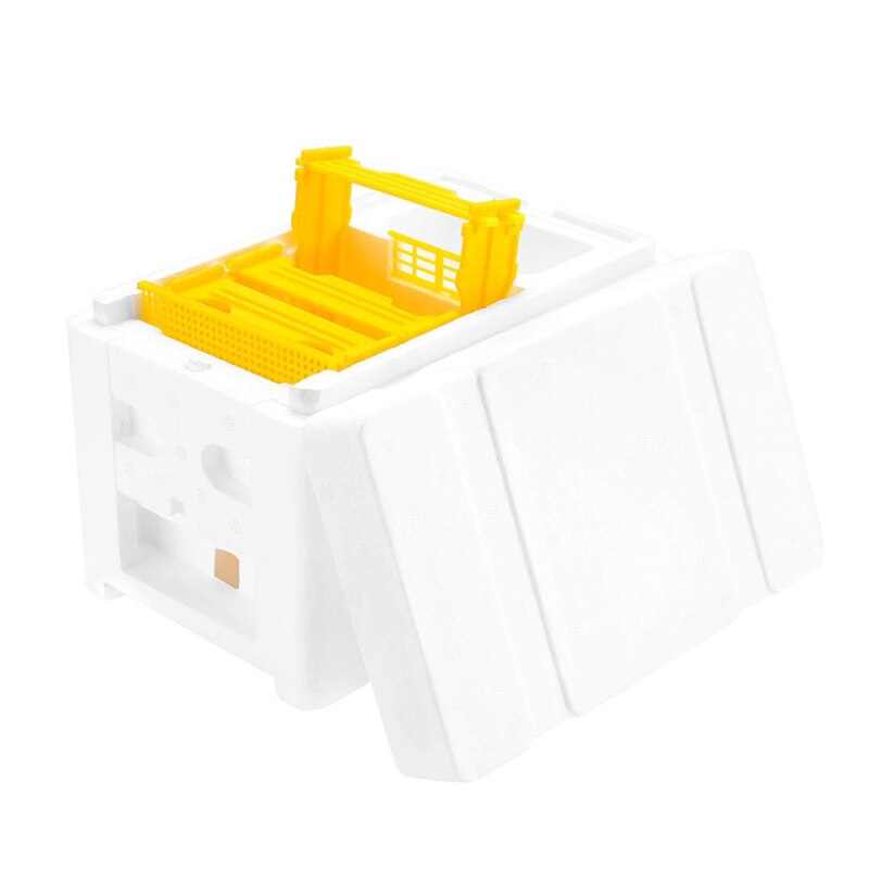 1Pcs Outdoor Garden Harvest Bee Hive Box Beekeeping King Pollination Box Beekeeping Tool Home Hive Box Beekeeping Equipment: Single layer