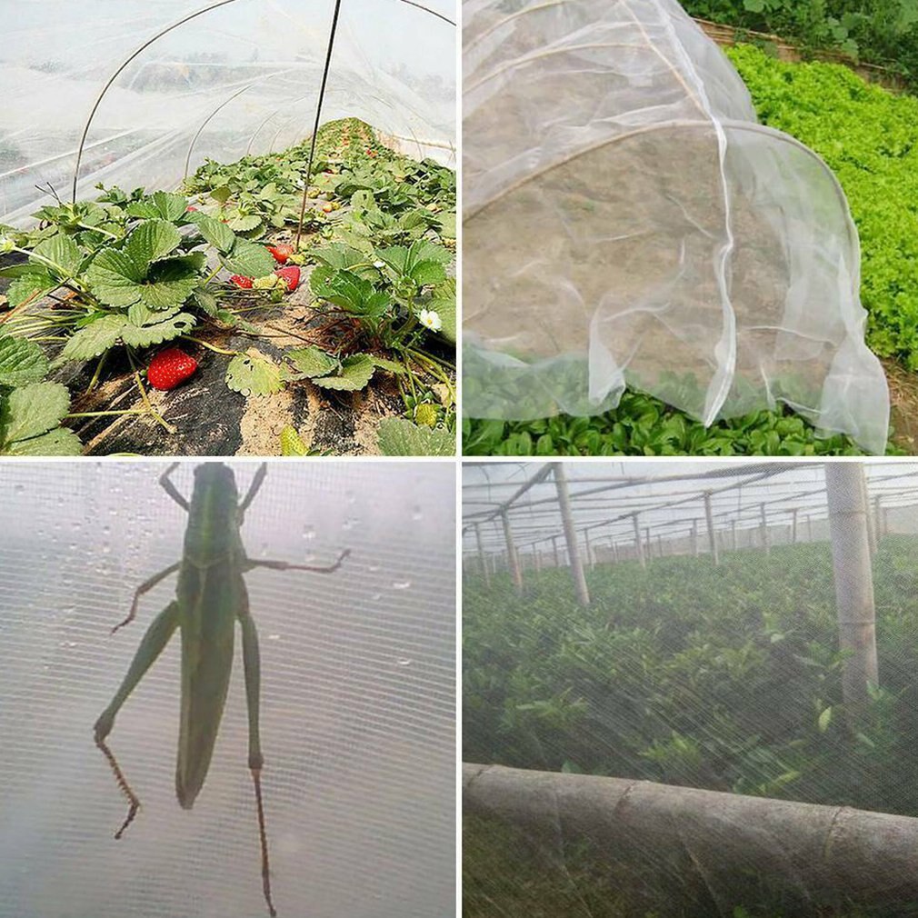 60 Mesh High-density Garden Vegetable Insect Net Garden Netting Crops Plant Protect Mesh Garden Vegetable Insect Net