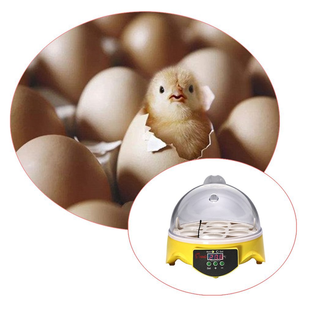 7 Egg Incubator Household Small Automatic Incubator Separate Egg Tray Smart Mini Incubator Incubation Equipment
