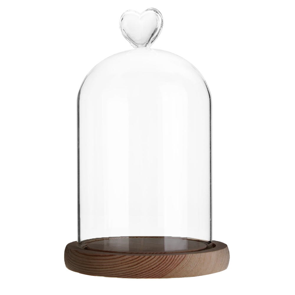 Pot de Cloche en verre avec Base en bois, couverture anti-poussière, ornement de bureau de chambre à coucher pour la maison, fête de noël: 05