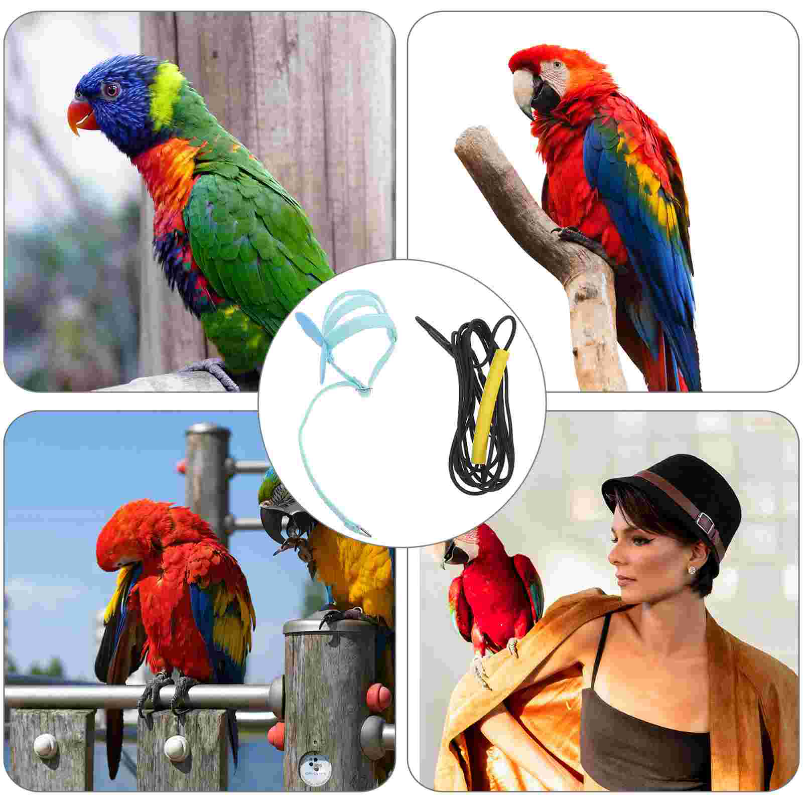 1pc Cockatoo Harness Outdoor Parrot Flying Rope Rearing Parrot Accessory