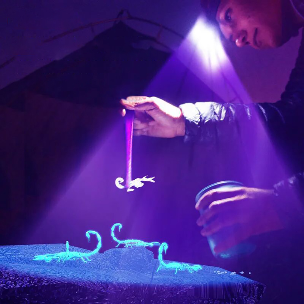 E2 hvide + uv-lys pandelampe bevægelsessensor led dobbelt lys usb genopladelig udendørs pandelampe campinglommelygte vandtæt zoom