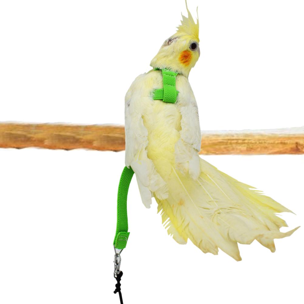 Mascota loro pájaro arnés Correa cuerda voladora correas de entrenamiento al aire libre cuerda de tracción para Budgerigar Lovebird Cockatiel pequeños pájaros