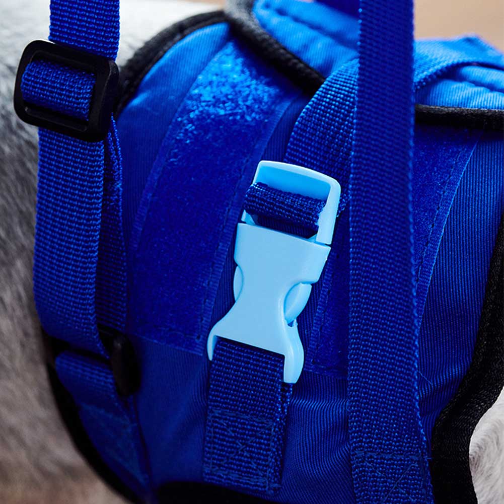 Dierbenodigdheden Uitgeschakeld Hond Ondersteuning Walking Helpen Harnas Draagbare Riem Elastische Mat Achterpoten Ledematen Carrying Revalidatie Oefening