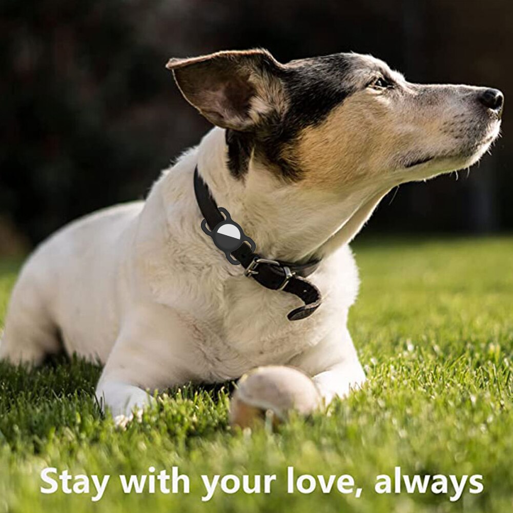 Custodia localizzatore anti-smarrimento per Apple airtag custodia Pet Anti-lost Dog collare per gatto custodia protettiva Shell per Air Tag Tracker