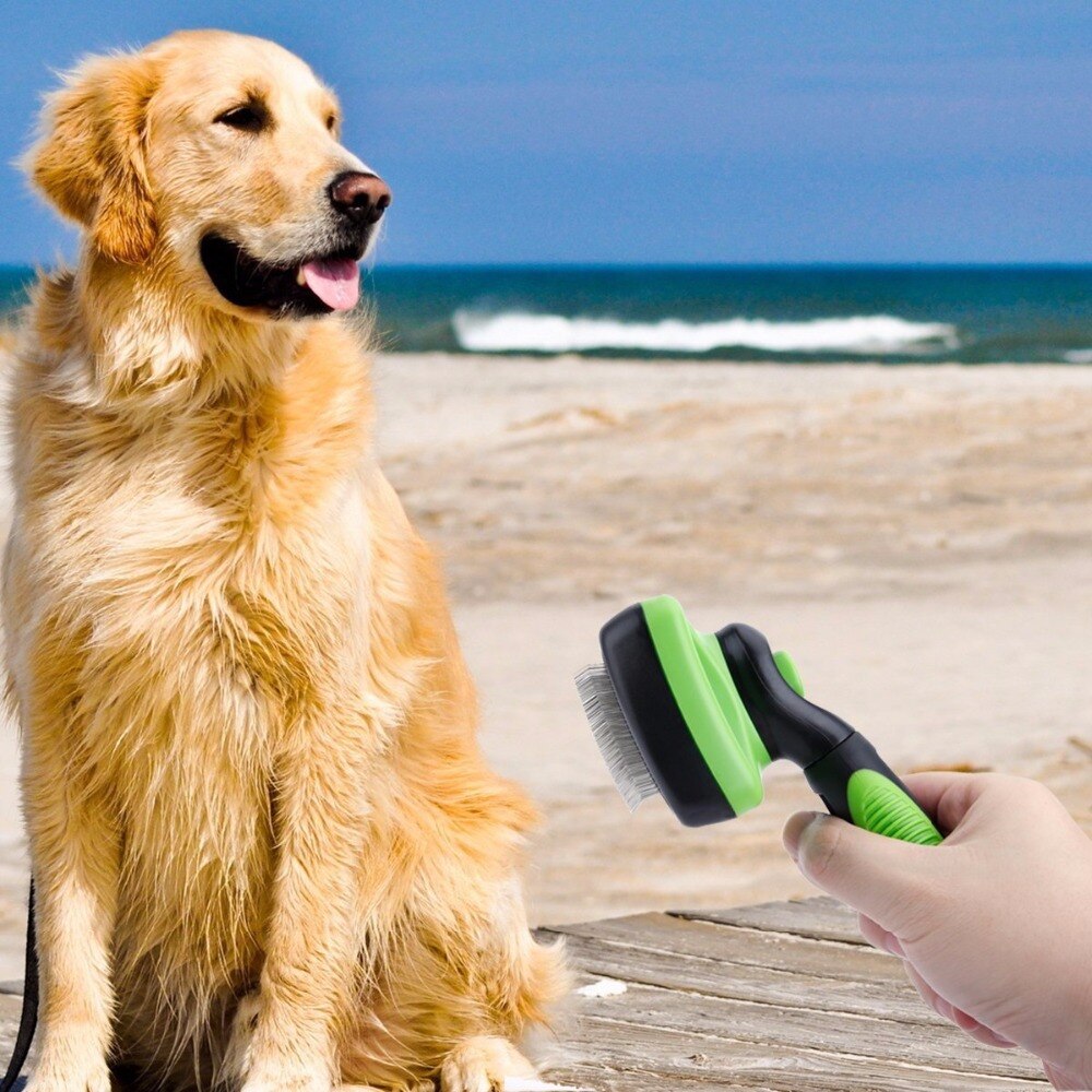 Pet Grooming Borstel Kam Hond Zelf Reinigingsborstel voor Kleine Grote Hond Kat Korte Lange Haar Verlies