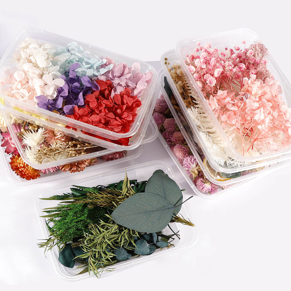 Lajitelma kuivattuja kukkia kukka täyte hartsi askartelu laatikko pakkaus uv hartsi diy riipukset korttien valmistus korut käsintehdyt kynttilät deco