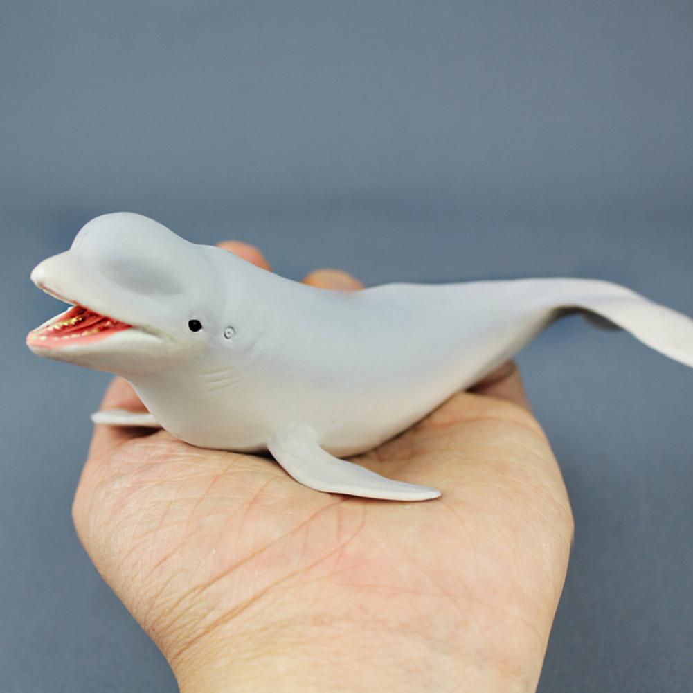 Leuke Beluga Witte Walvis Model Zee Leven Dieren Lifeliketoys Collecties Slaapkamer Decor Kinderen Kids Eduacational