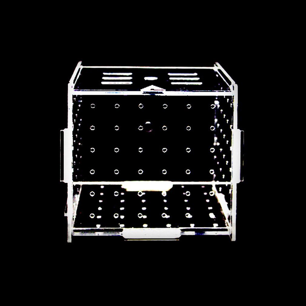 Aquarium Transparent Aquarium Fish Fry Incubator Breeding Box Production Box Single And Double Grid Isolation Network
