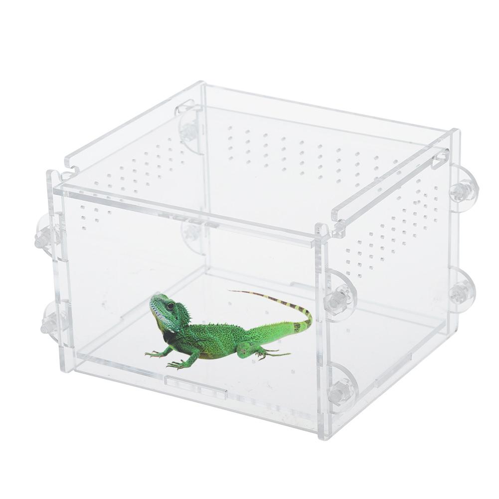 Acrylic Transparent Reptile Amphibious Box Breathable Durable Flip Cover Reptile Cage Easy Install Lizard Breeding Box 20E