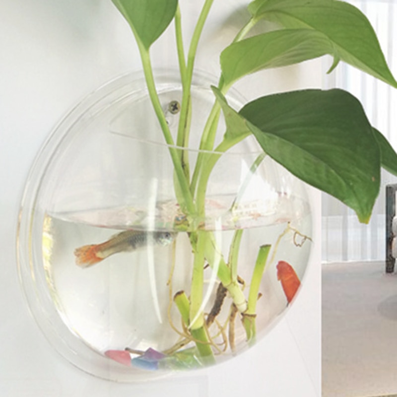 Hængende vægmonteret akvariumskål akvarieplante fisk boble akryl vaser blomsterplante pot  p7 ding: Gennemsigtig / 19.5cm