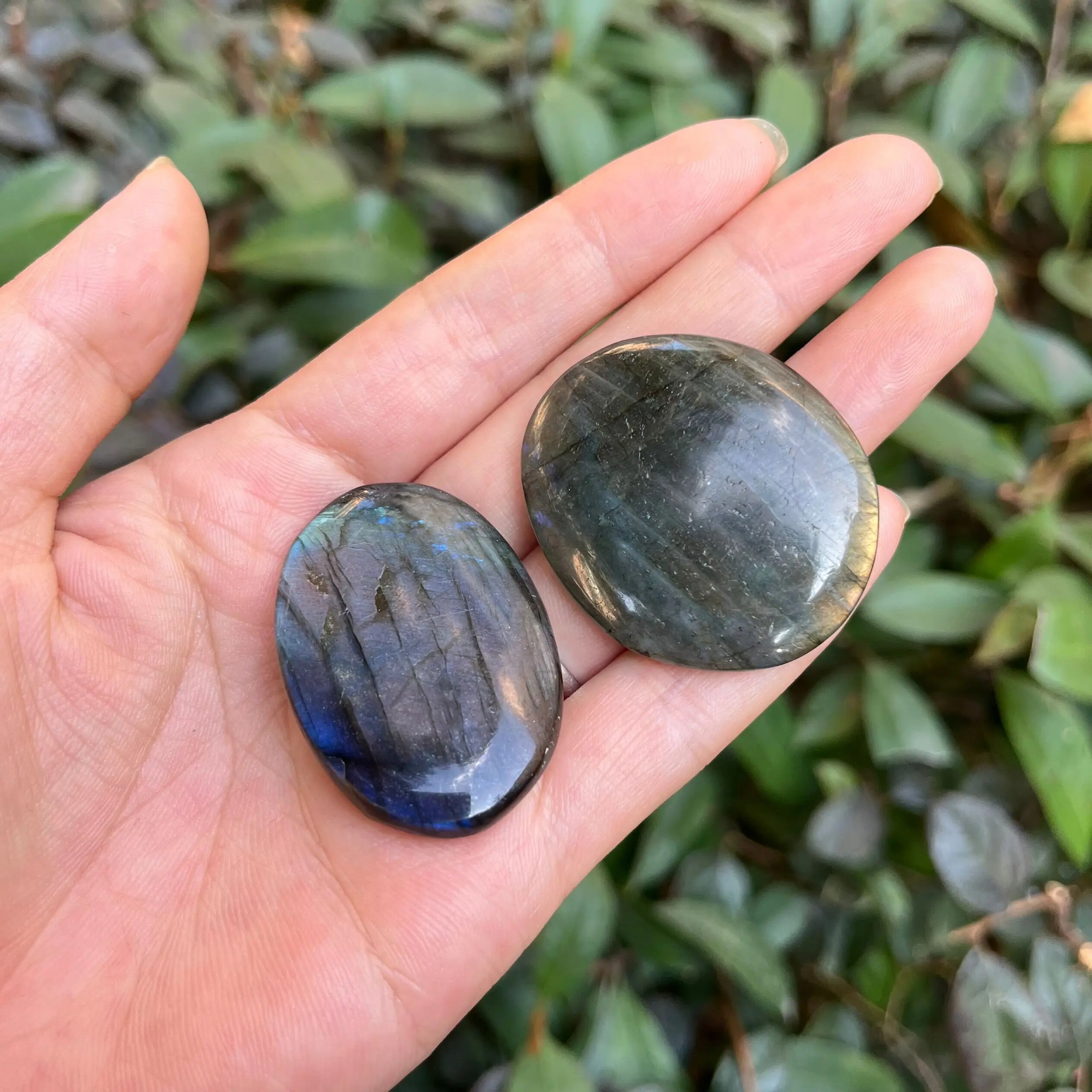 2 unids/set labradorita Natural llamativa cabujón forma de corazón labradorita piedra plana piedra preciosa pulida suave 3CM: Negro