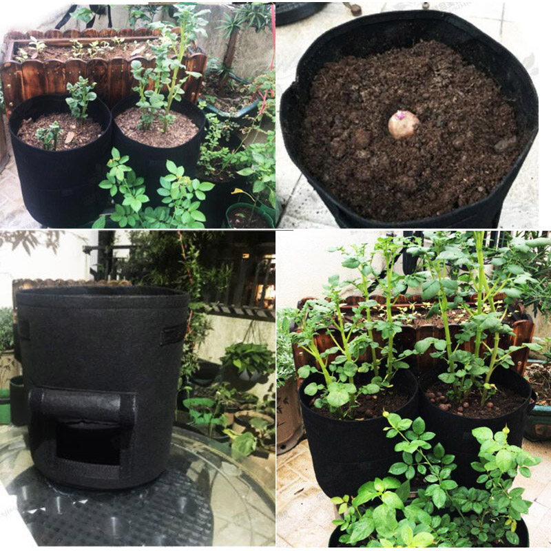 3 Size Felt Plant Grow Bags Nonwoven Fabric Garden Potato Pot Greenhouse Vegetable Growing Bags Moisturizing Vertical Tools