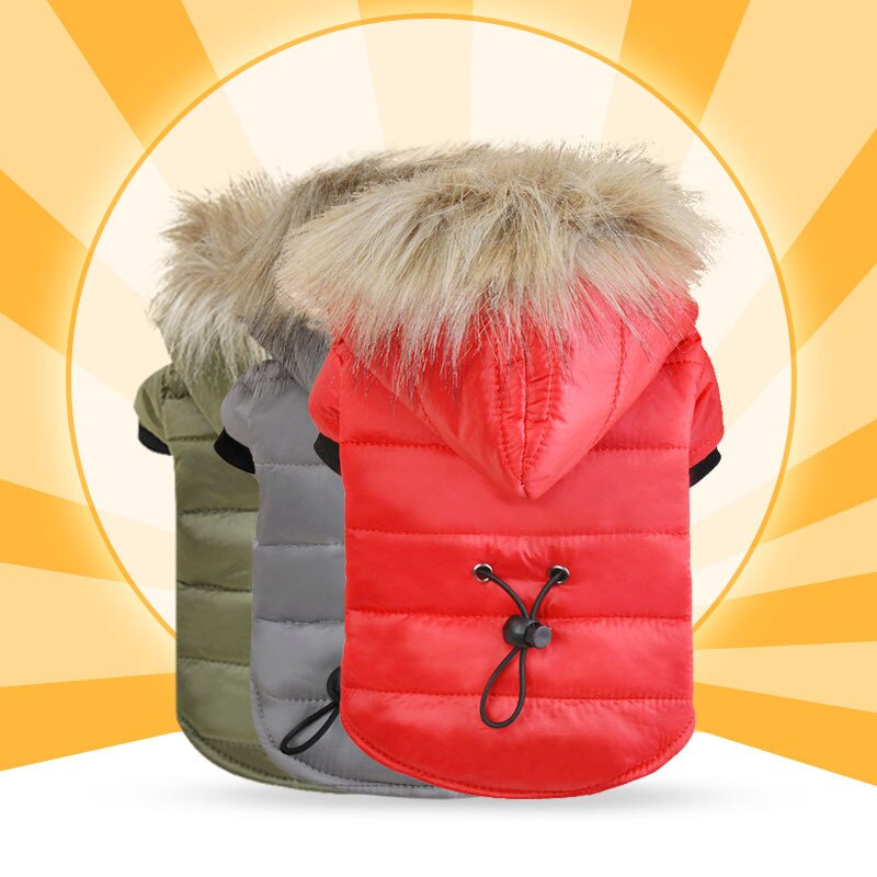 Vinter varmt kæledyr hundetøj til små hunde chihuahua bulldog tøj tykkere hvalp kat frakke jakker hunde outfits kæledyr produkter