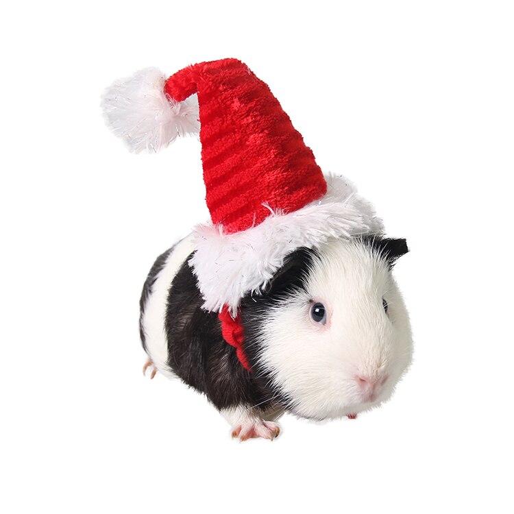 Kæledyr jul hat julemanden cap hoved tilbehør til kanin hamster marsvin rotter killing kitty og små dyr: Xiaoc 001