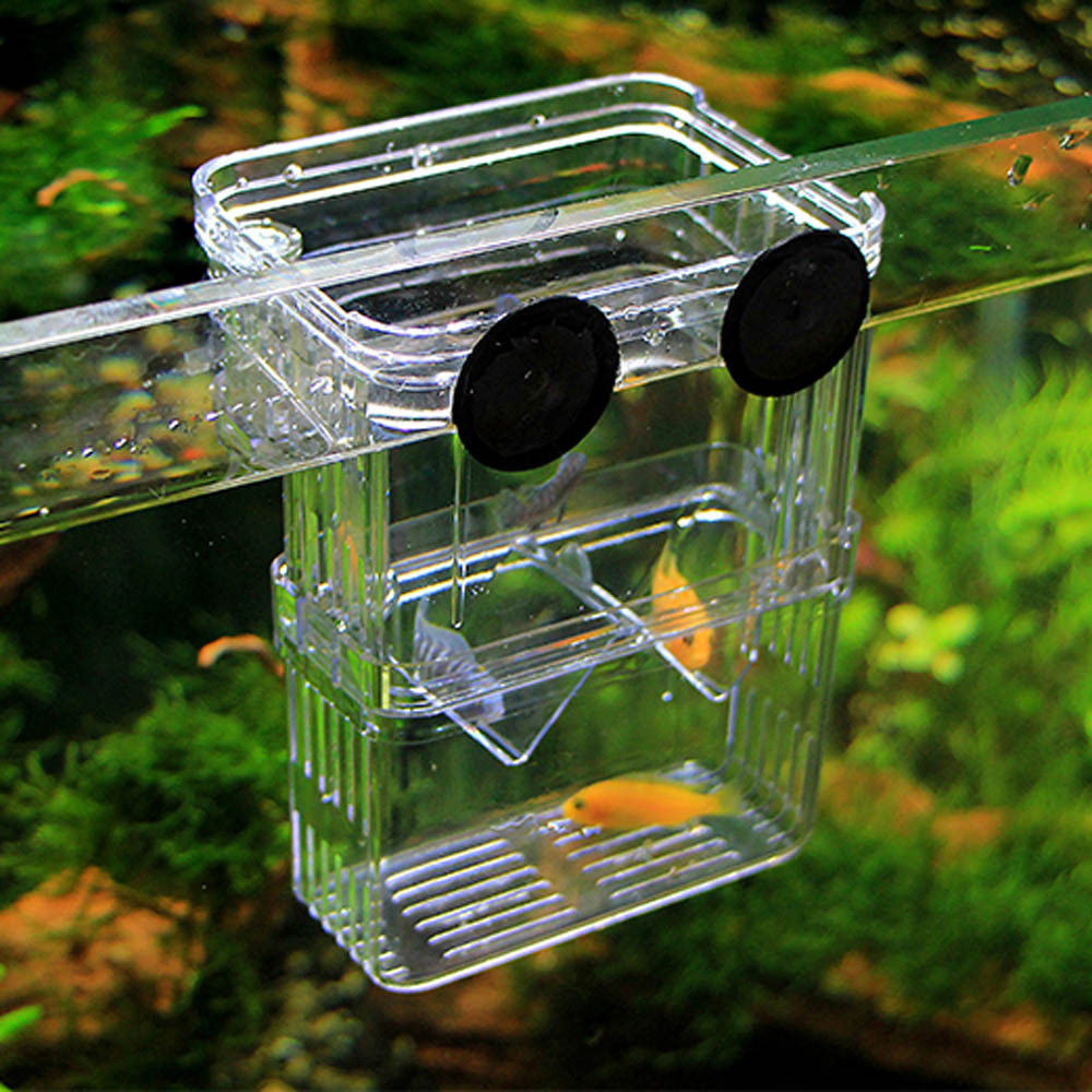 Multifunktionel fiskeavl isolationsboks inkubator opdrætter til akvarium akvarium tilbehør