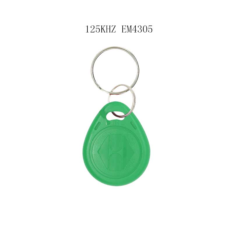 50/100Stck RFID 125KHZ Schild kopie wiederbeschreibbare schlüssel wiederholen löschen em4305 T5577 kette schlüssel Ring induktion Zeichen: 50Stck